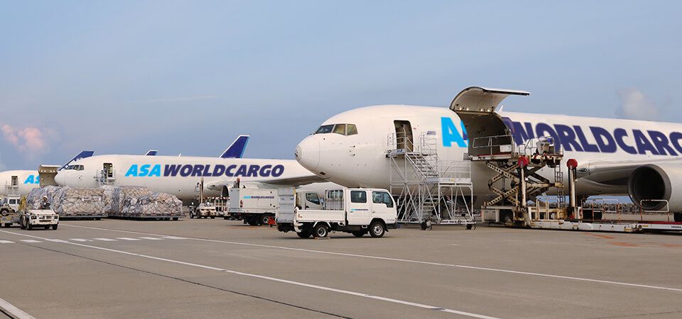 International Cargo Hub
